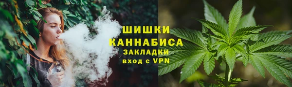 индика Алзамай
