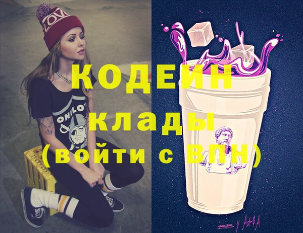 индика Алзамай