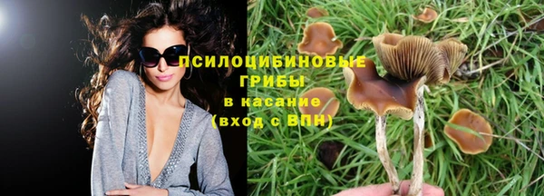 СК Алексеевка