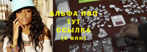 индика Алзамай