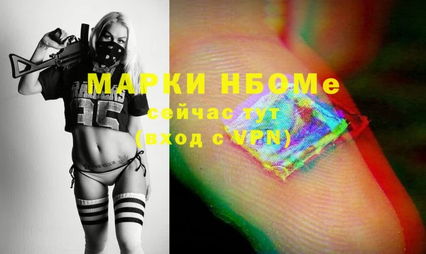 индика Алзамай