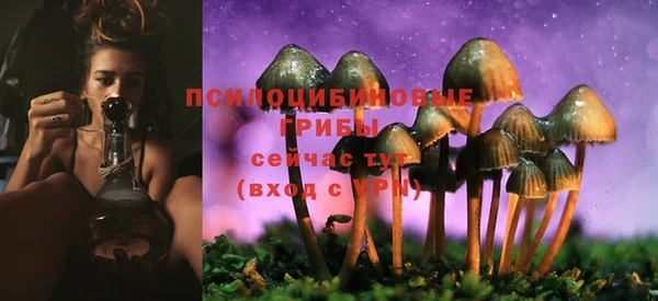 индика Алзамай