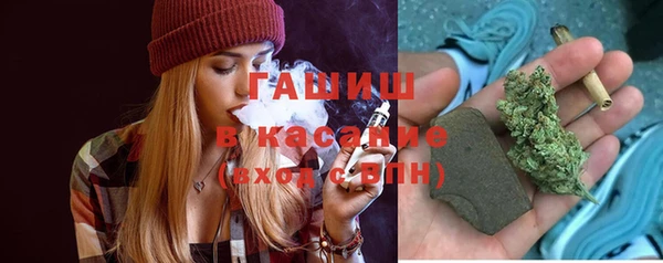 индика Алзамай
