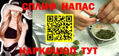 СК Гусь-Хрустальный