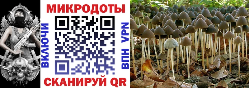 Галлюциногенные грибы ЛСД Мыски