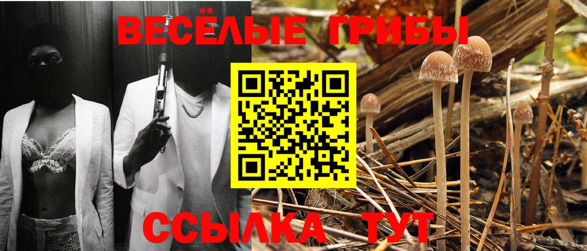 Галлюциногенные грибы GOLDEN TEACHER Мыски