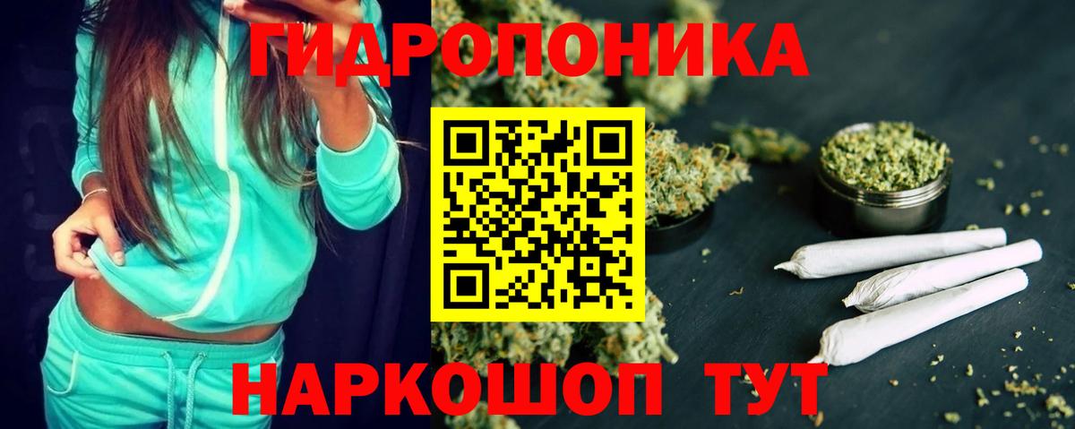 Бошки Шишки планчик  Марихуана конопля  Мыски  Канабис MAZAR  Бошки Шишки сатива  Вход с VPN 