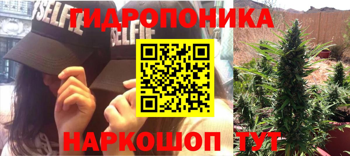 Шишки марихуана ГИДРОПОН Мыски